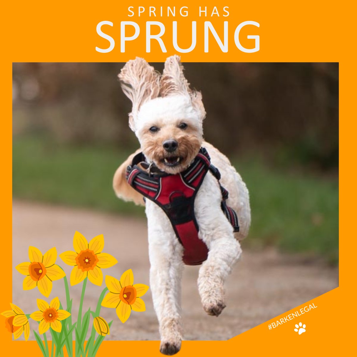 Arken.legal tweet media