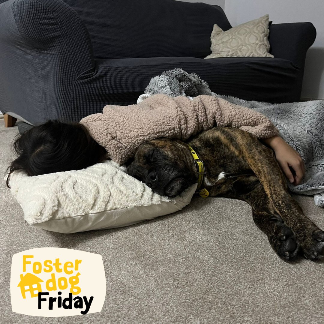 DT Ilfracombe tweet media