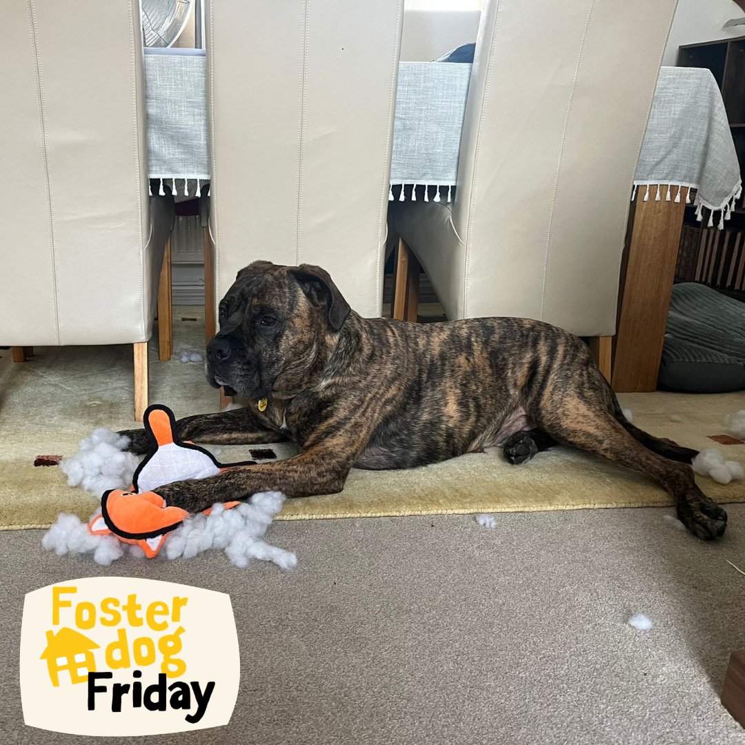 DT Ilfracombe tweet media