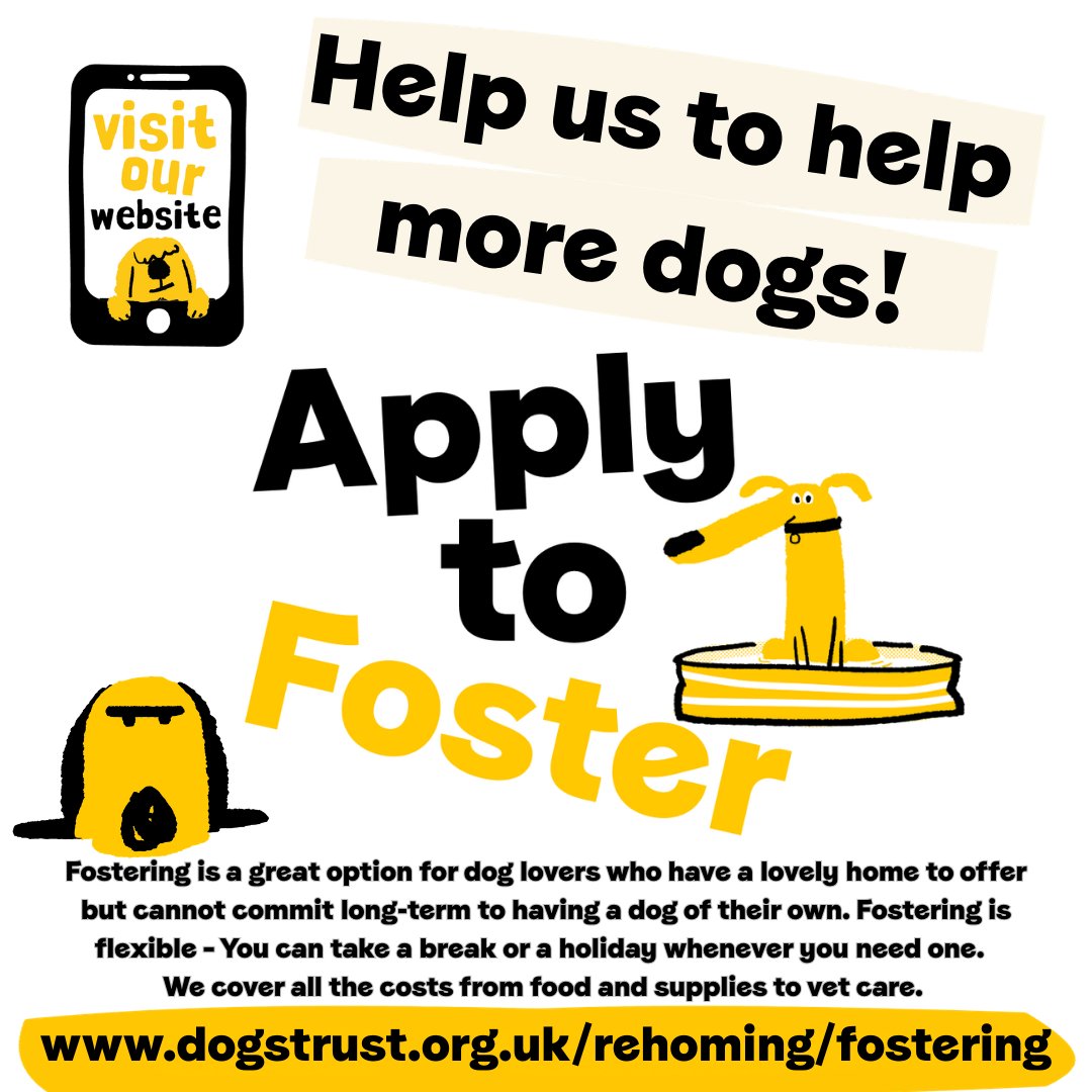 DT Ilfracombe tweet media