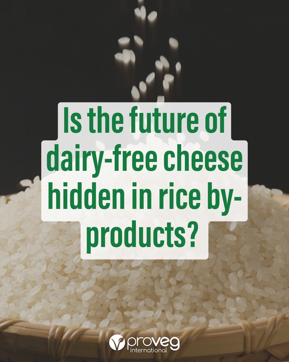 ProVeg International tweet media