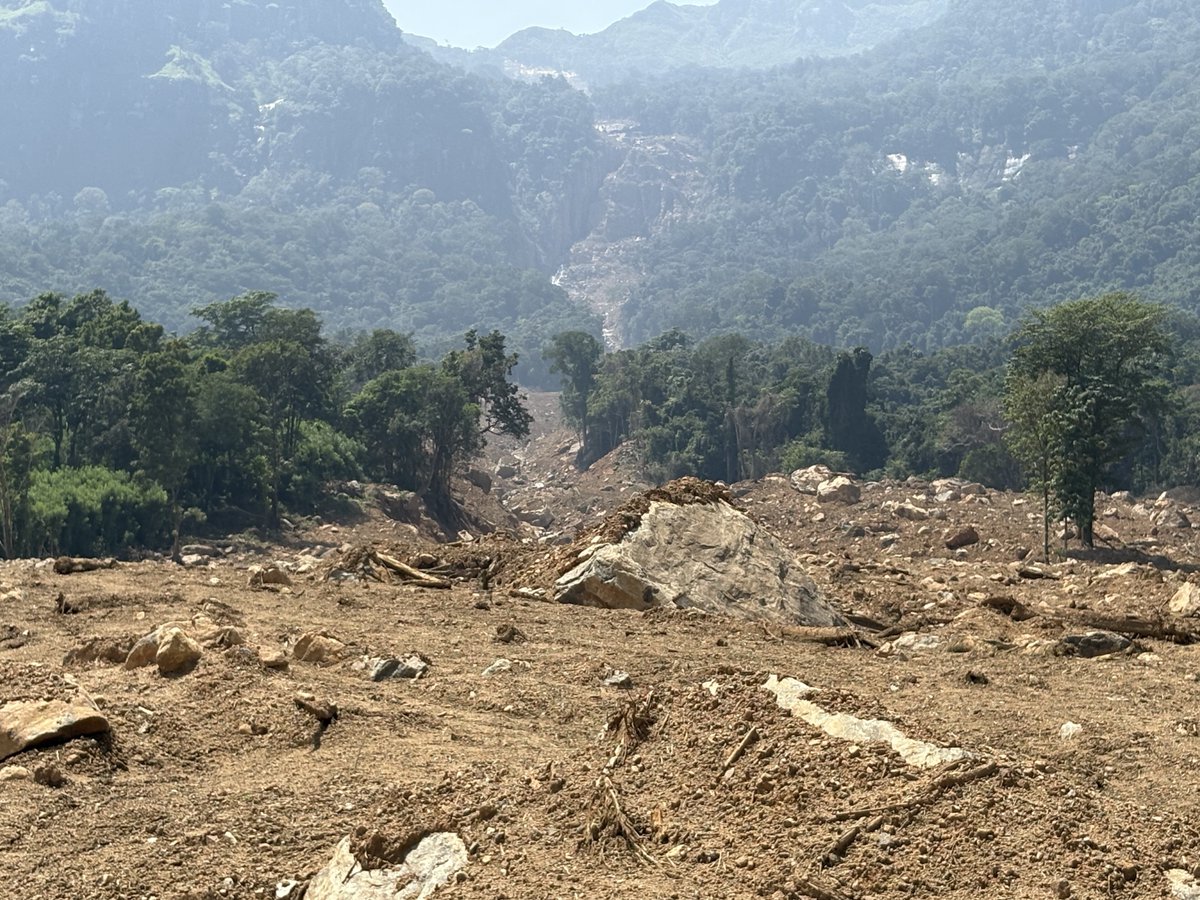 ピースウィンズ･ジャパン tweet media