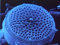 ダーティ工藤 tweet media