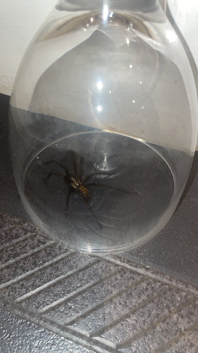 Mick Moran tweet media