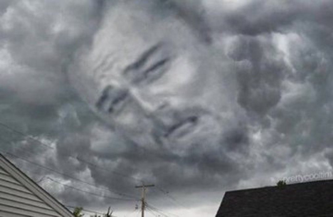 zimbabwean Giant tweet media