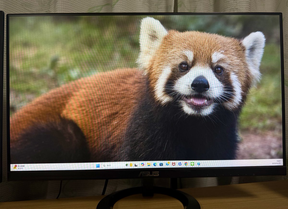 はらぴー(kaz) tweet media