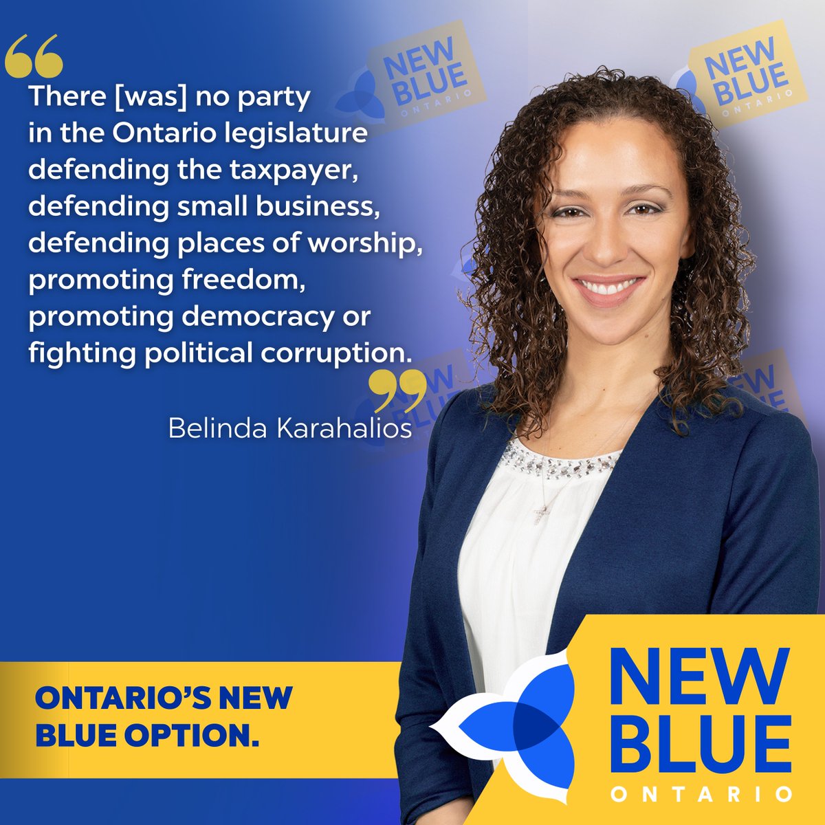 New Blue Party of Ontario tweet media