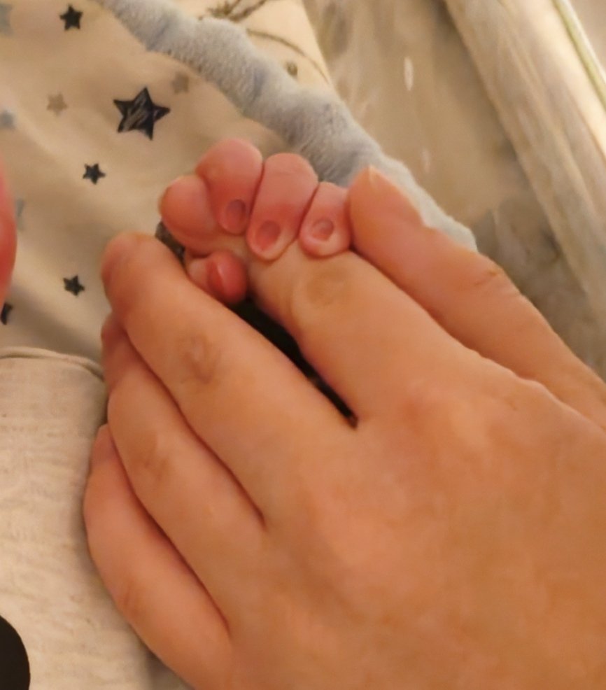 Bartłomiej Sieja tweet media