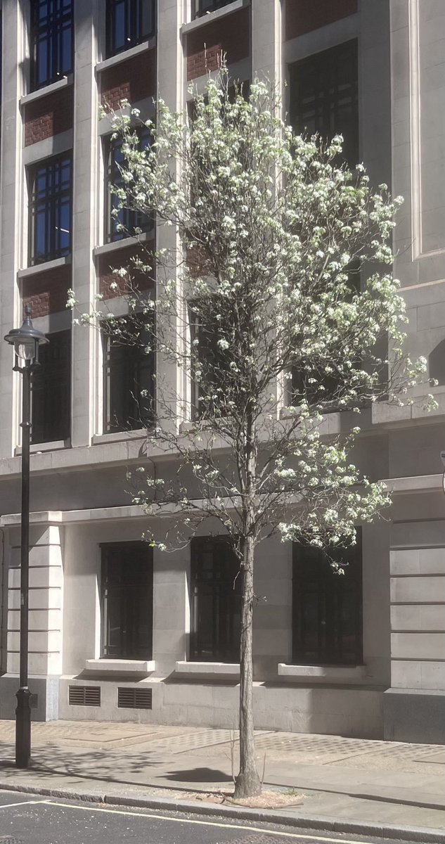 John Simpson tweet media