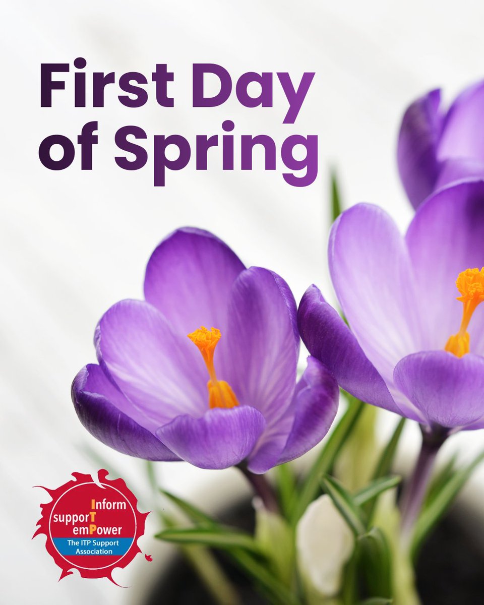 ITP Support Assoc tweet media