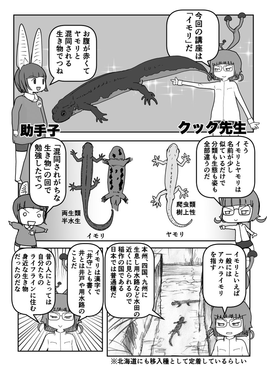 横山雅司/黒金社（マンガ「実は〇〇」な動物図鑑） tweet media