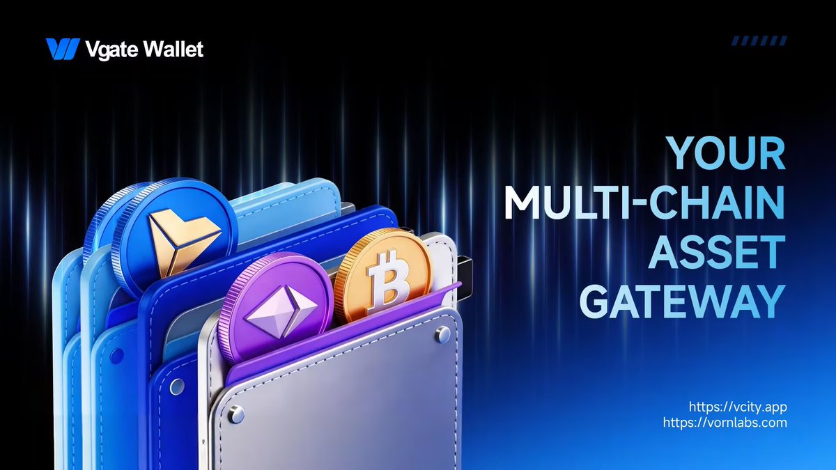 ✨Vgate Wallet enables convenient asset management，One-click multi-chain management,view balances and transactions.