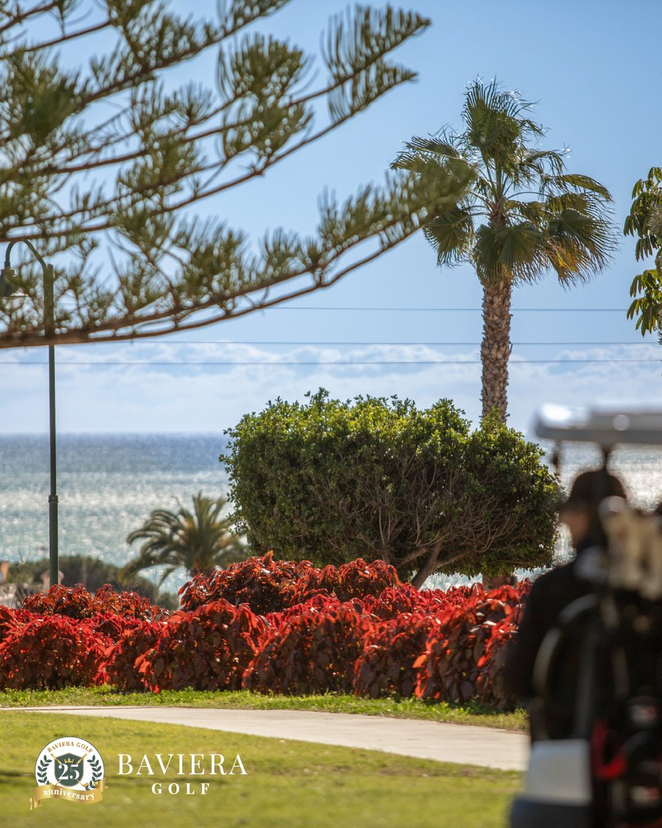 Baviera Golf tweet media