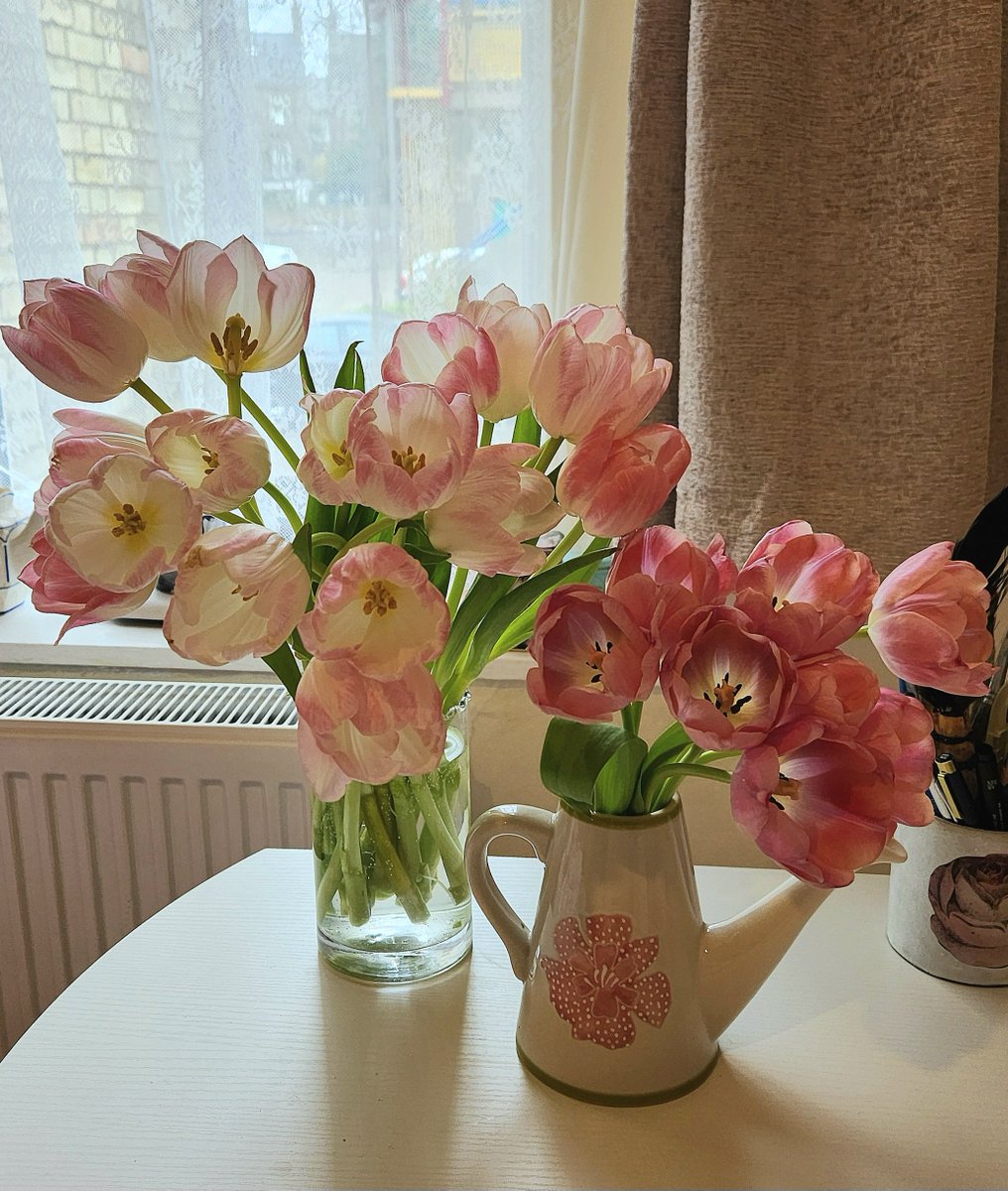 art_kaorua's tweet photo. イギリスに来て、これは好きだなぁと思ってることのひとつが、スーパーでお花が普通に買えること
単１の花束もあるし、素敵なブーケもあって、時々めちゃ安い
左のチューリップは５ポンドだったし、昨日はセールの2.4ポンドのバラの花束を買った
男性も女性もよく花を買っていく https://t.co/AwGNJmLqiO