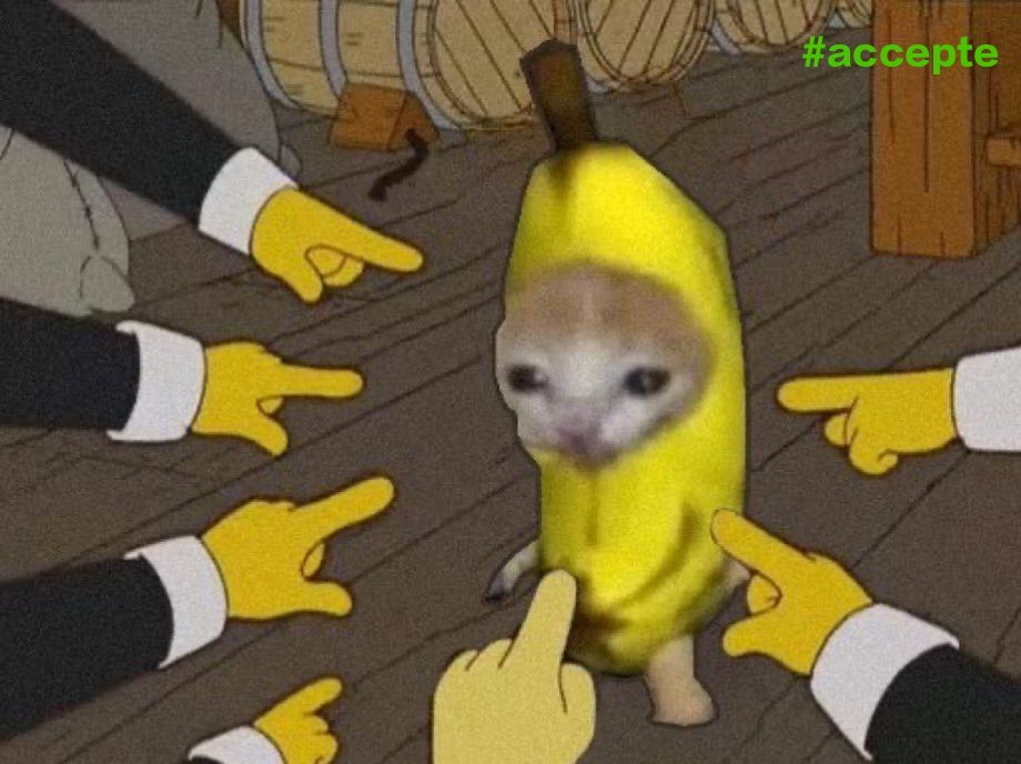 Accepte 💿 tweet media