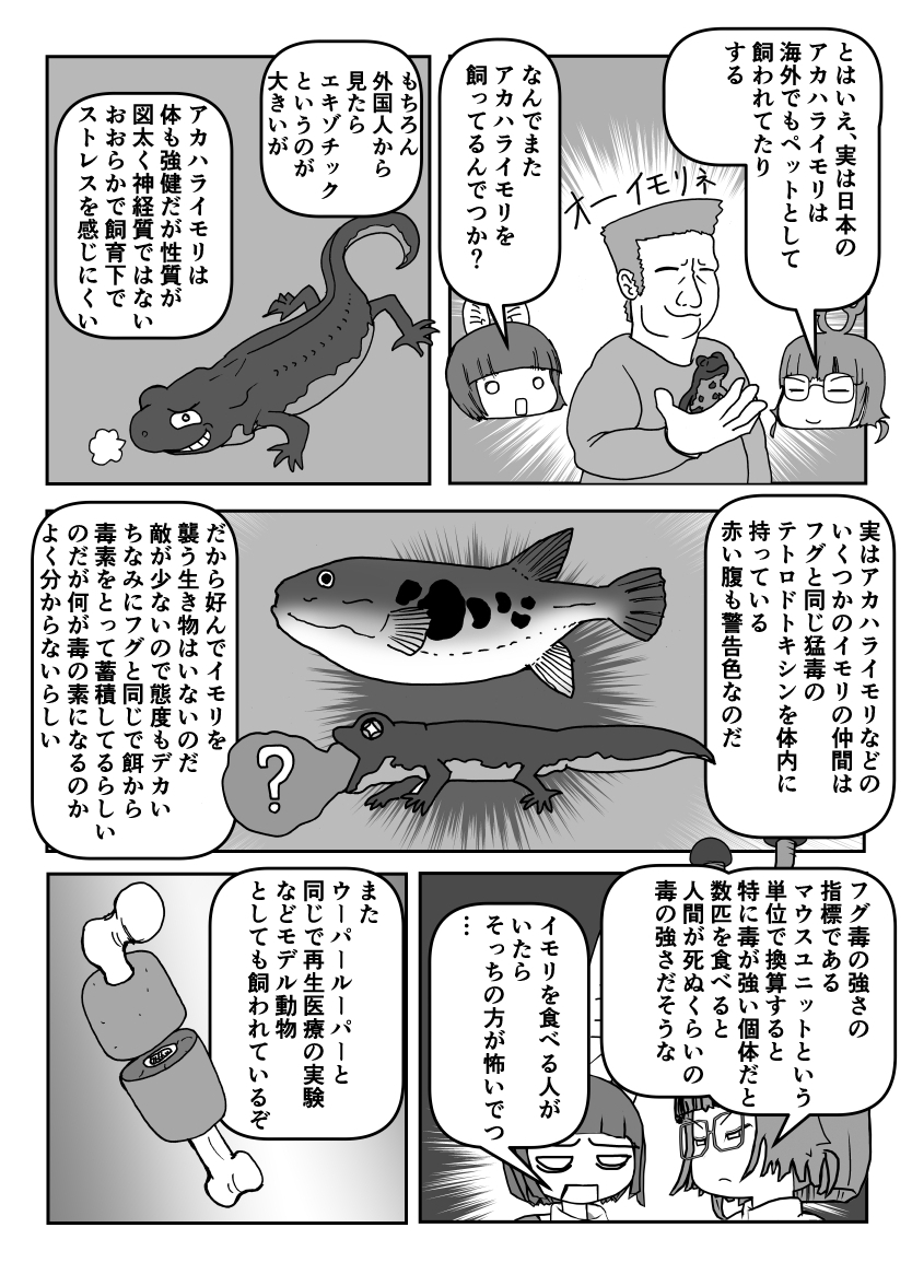 横山雅司/黒金社（マンガ「実は〇〇」な動物図鑑） tweet media
