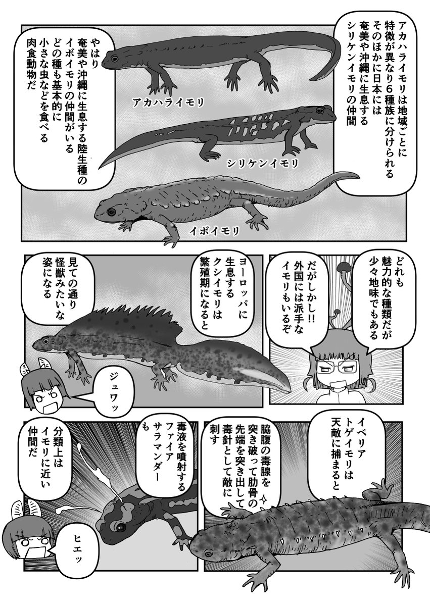 横山雅司/黒金社（マンガ「実は〇〇」な動物図鑑） tweet media