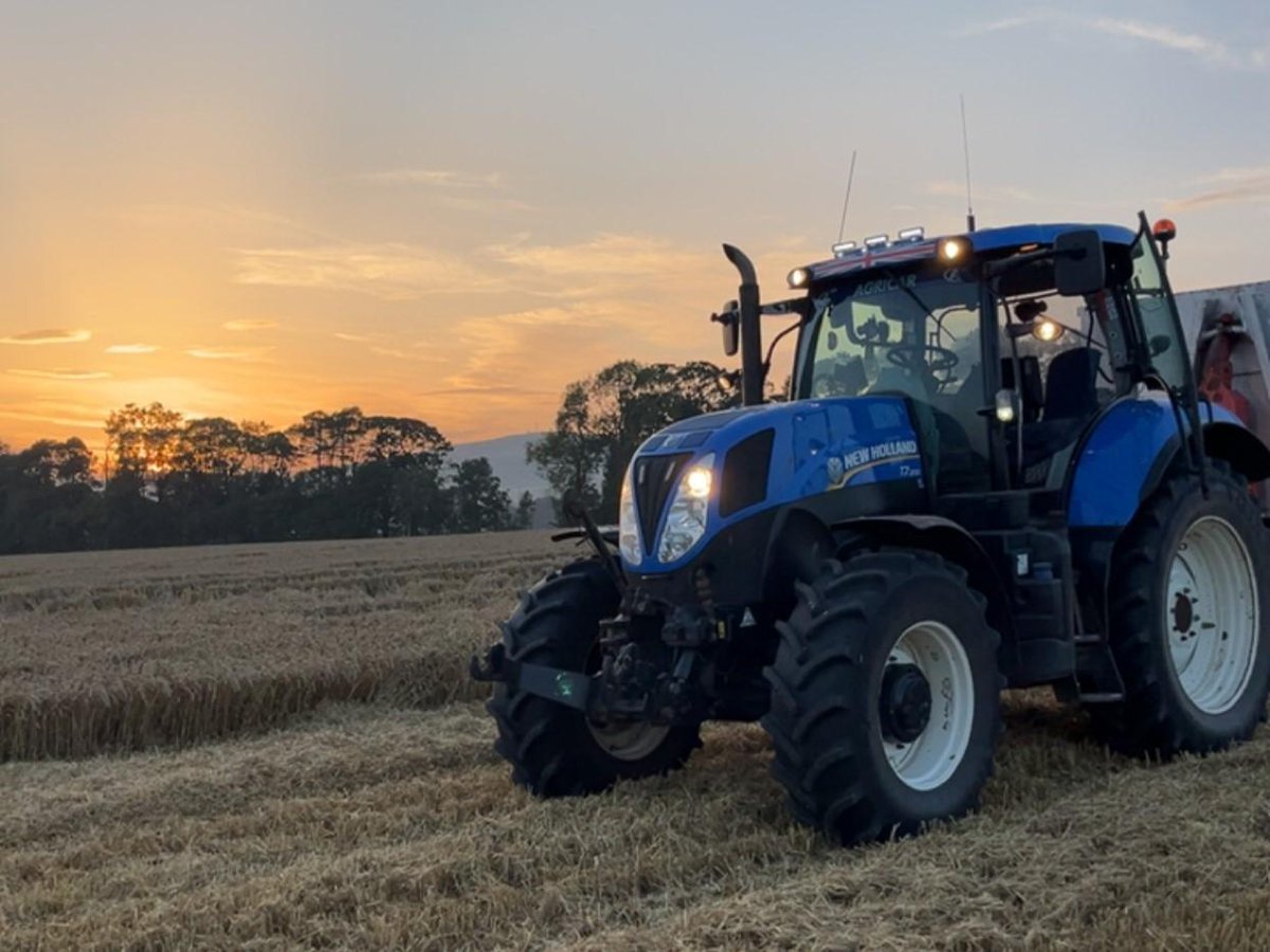 scottishfarmer's tweet image. READERS PICS | 📷 Recap from harvest - Harvesting 2025 wheat

🚨 Send us your story or picture here: thescottishfarmer.co.uk/send-us-your-n… and it could appear online 💻

READER PICS WALL OF FAME | thescottishfarmer.co.uk/multimedia/pho…

#readerspics #farming #scottishfarming #agrisculture