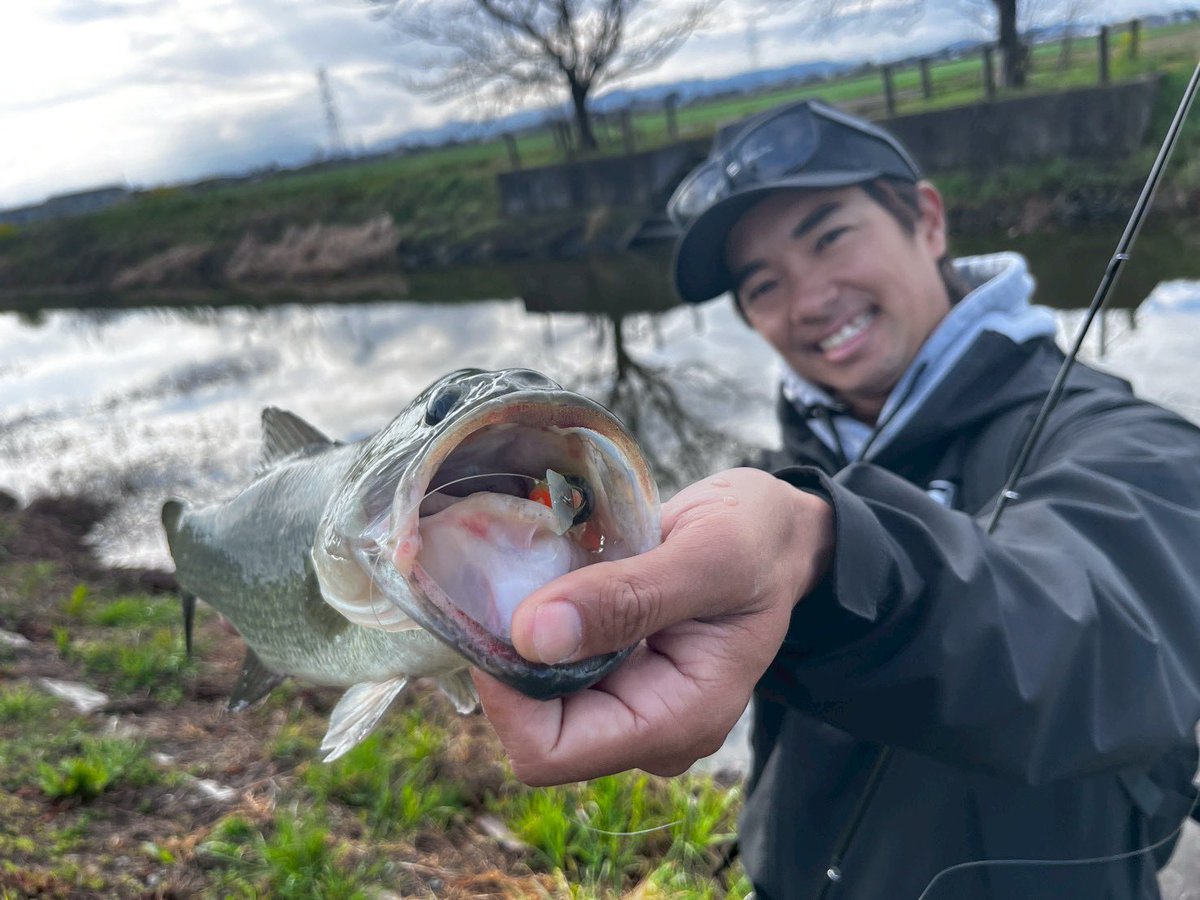 加木屋 守 (マーモ) tweet media