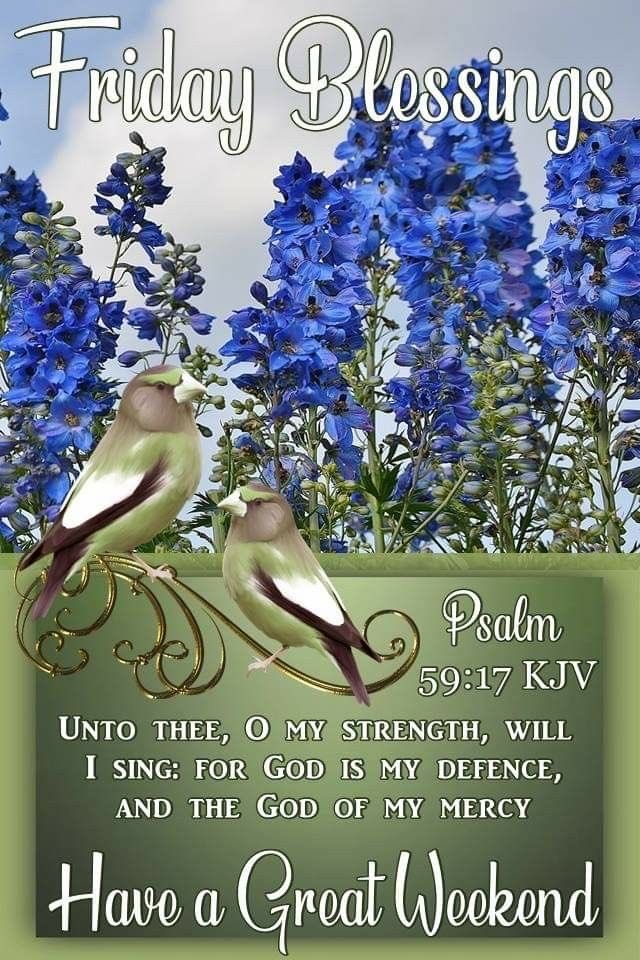 Luz Rivera 🇵🇷 tweet media