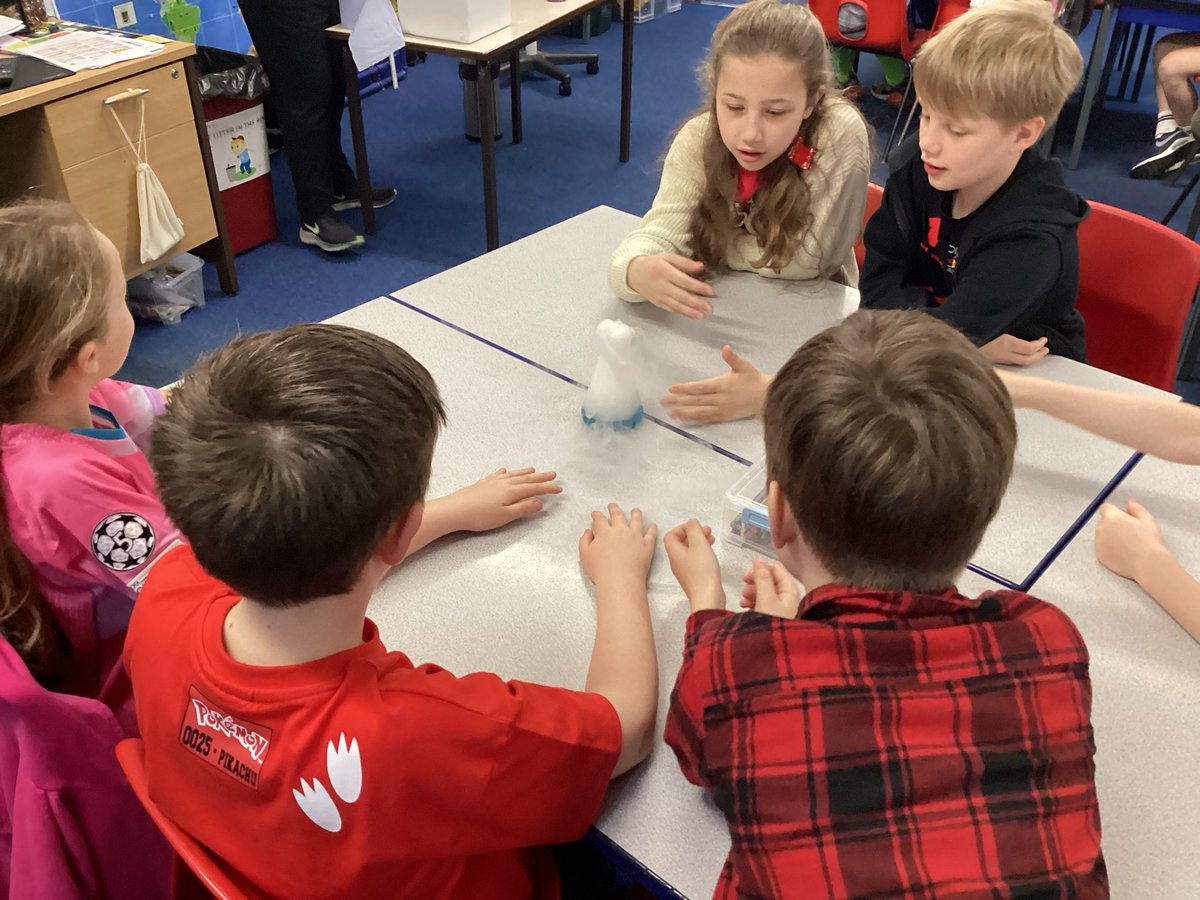 Year 4 Tankersley St Peter's tweet media