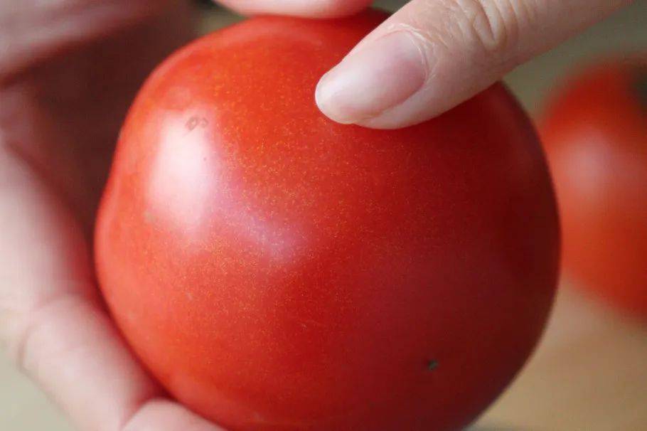 Holly Pike tweet media