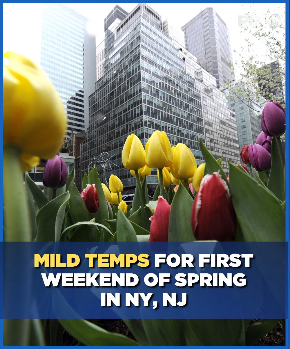 PIX11 News tweet media