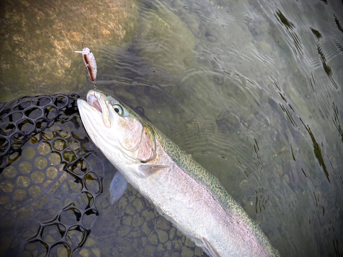 和田 浩輝 tweet media