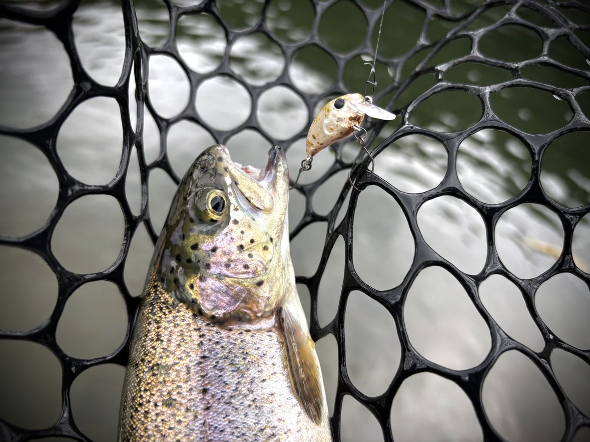 和田 浩輝 tweet media