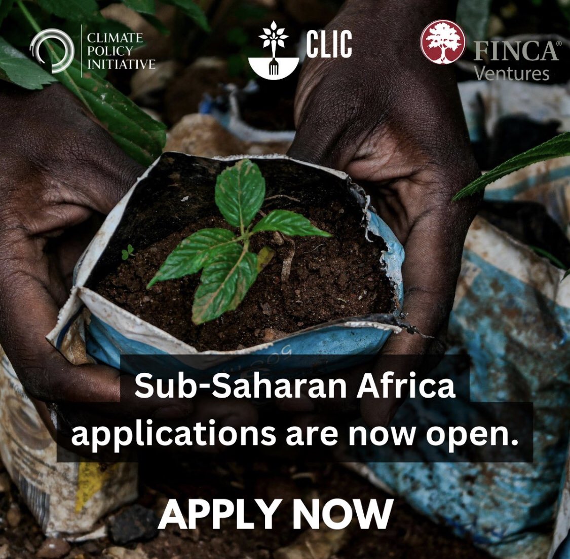 All Things Ventures tweet media