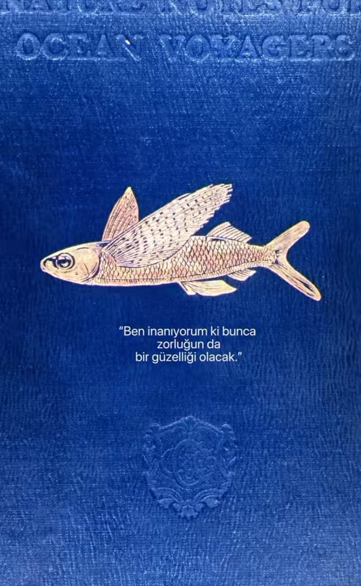 ils Sont Eux tweet media