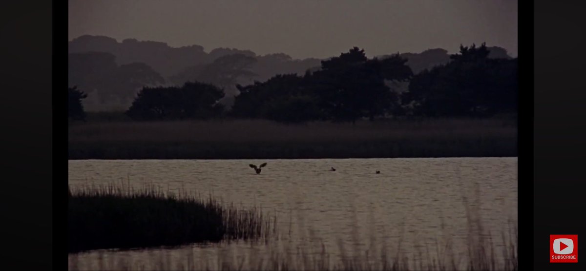 Alan Davis tweet media