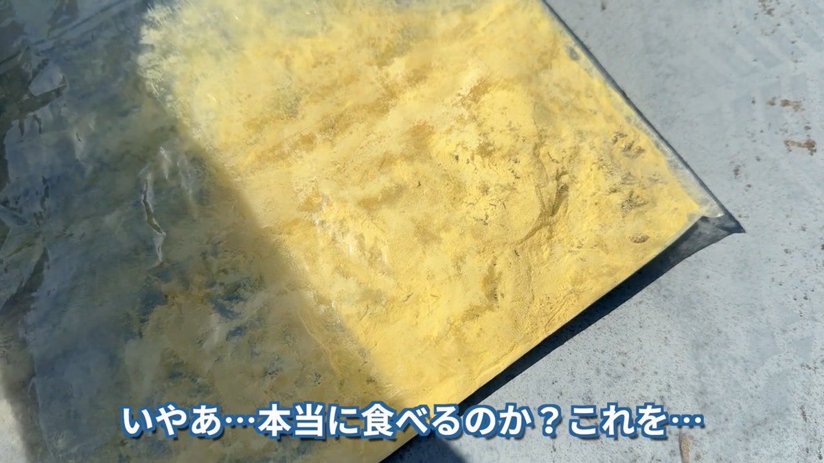 茸本 朗(たけもとあきら)　「野食ハンター茸本朗ch」公開中!! tweet media