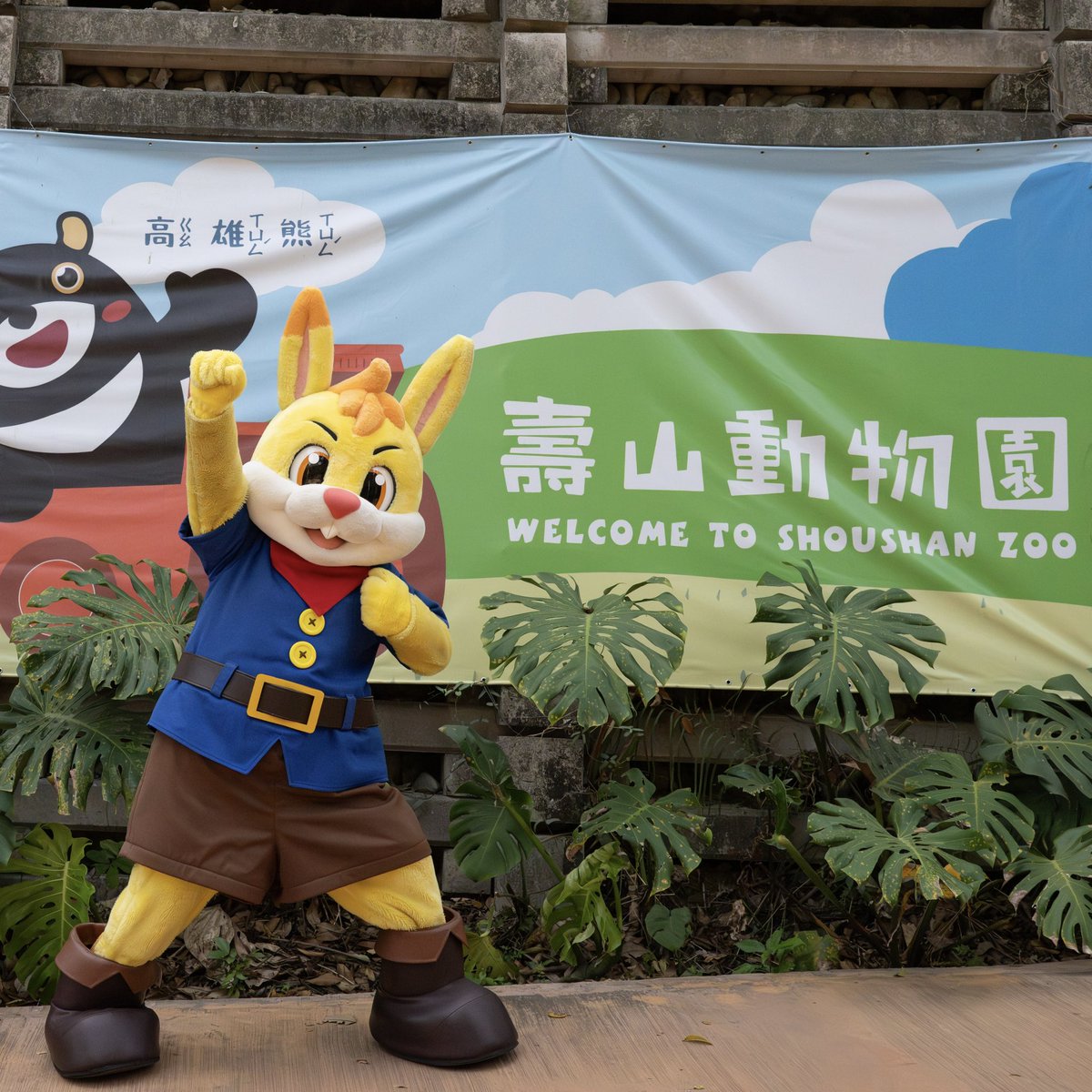 たっぴー【公式】 tweet media