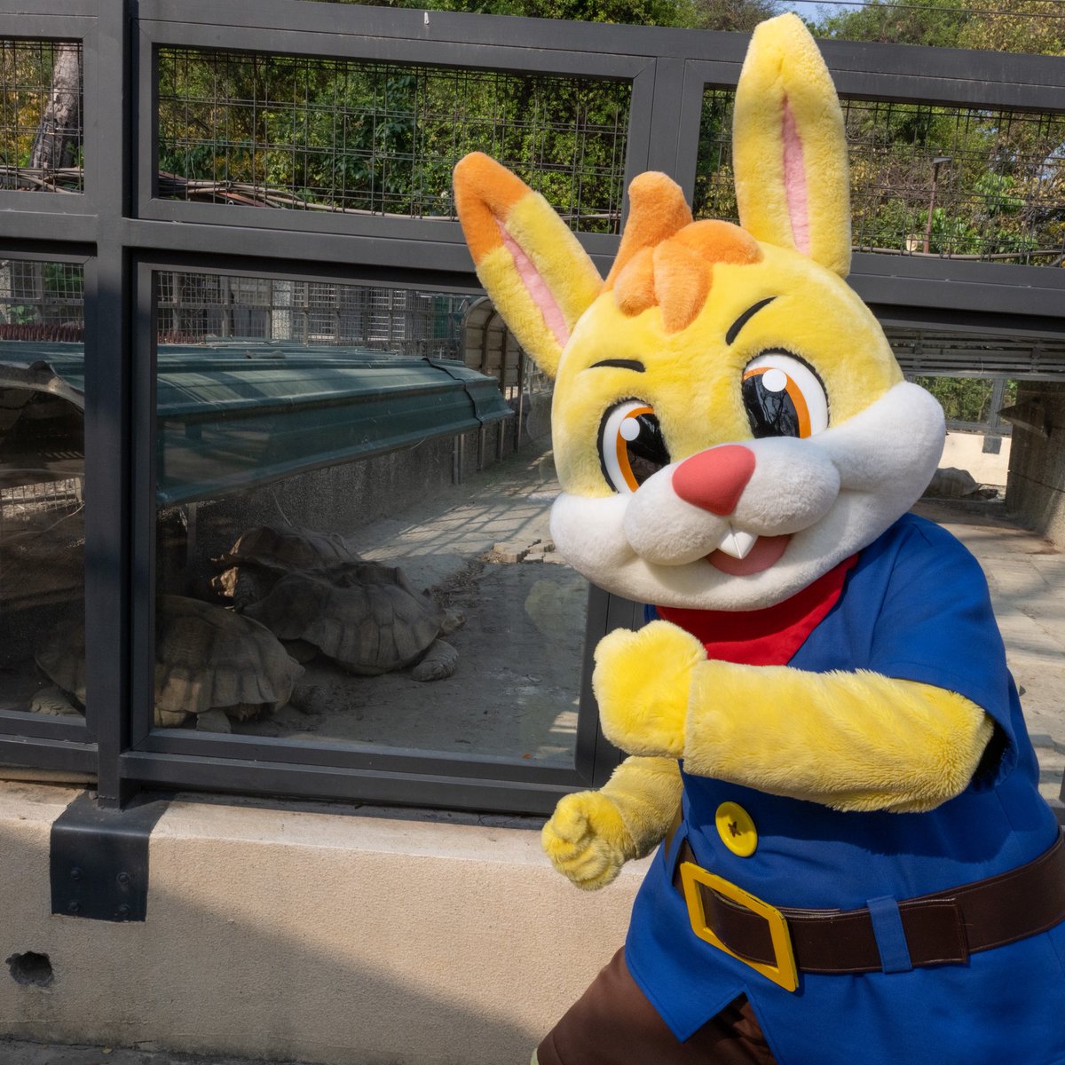 たっぴー【公式】 tweet media