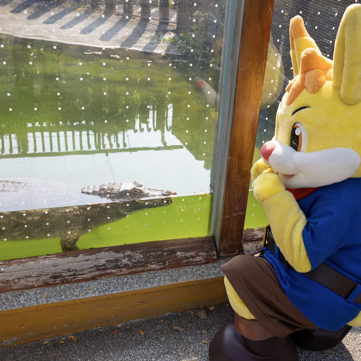 たっぴー【公式】 tweet media