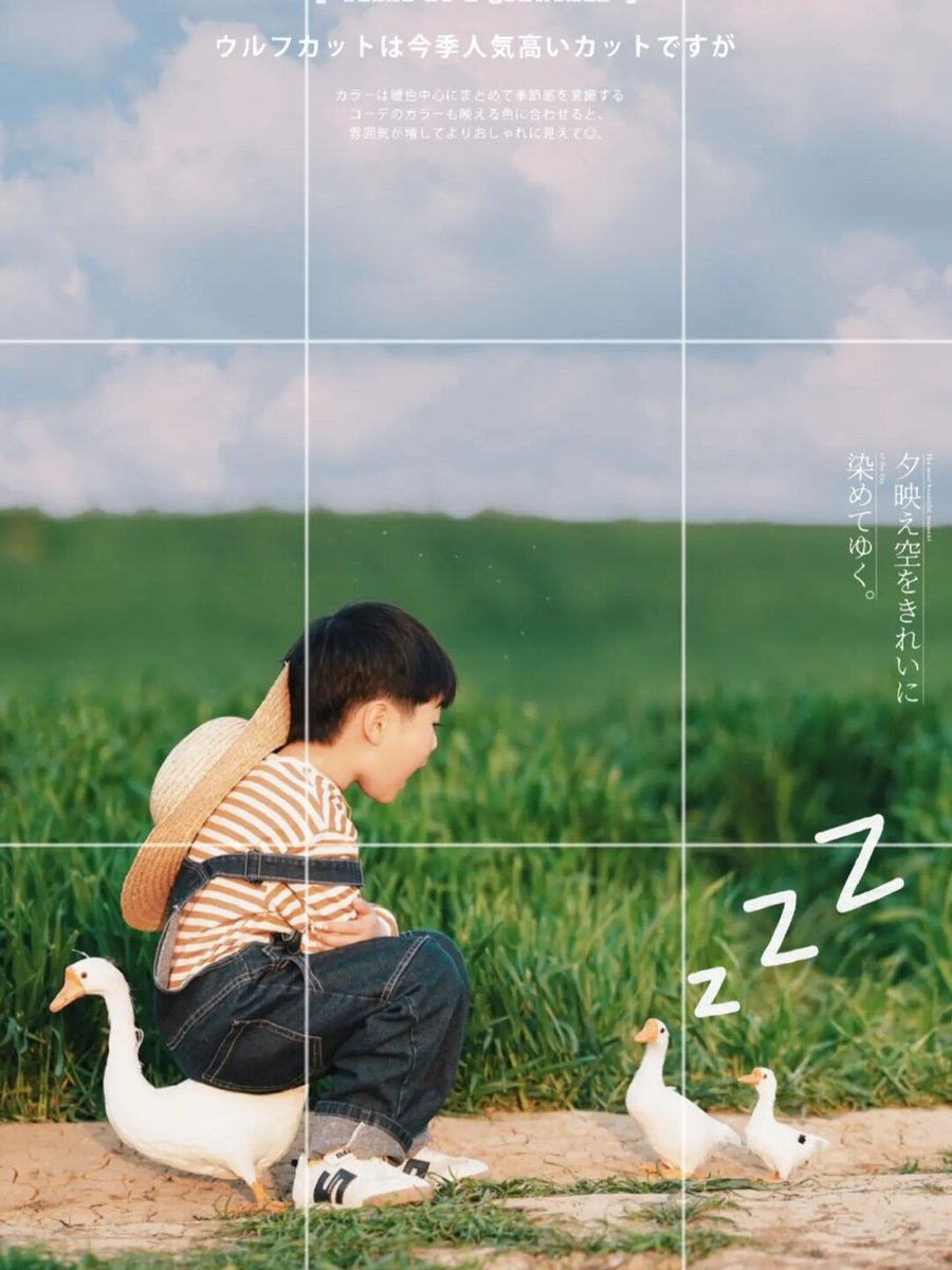 David Scheerer tweet media