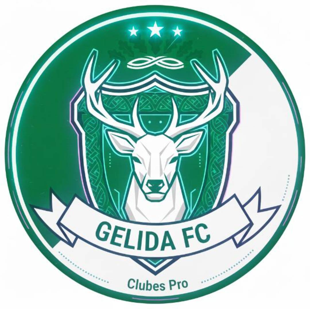 Gelida FC tweet media
