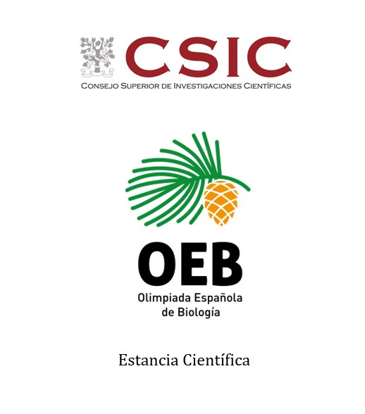 Olimpiada Biología tweet media