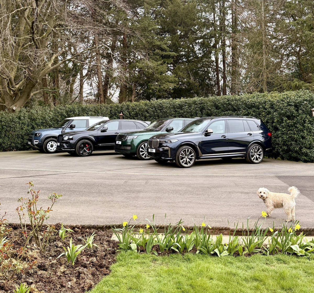 Lawrence Whittaker tweet media