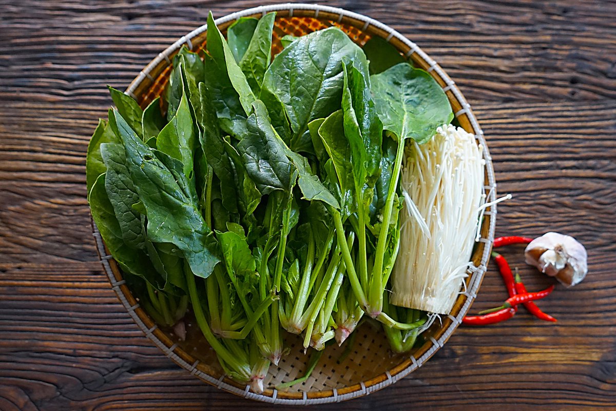 Jennifer Stowe tweet media