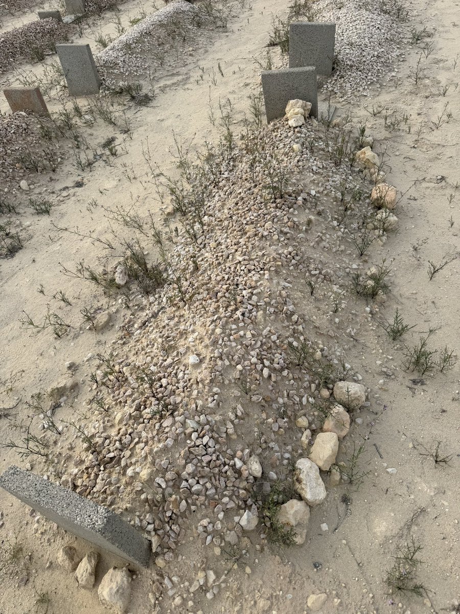 معلا العتيبي tweet media