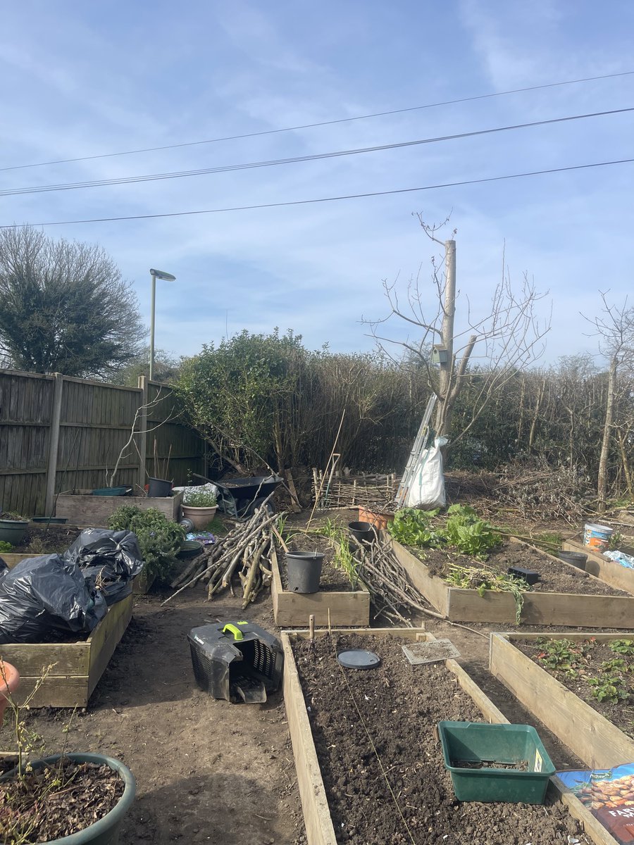 24hrfromcroydon's tweet photo. So much to do my day of pottering begins #pottering #gardening #friday20thmarch2026 https://t.co/OZcWWpUyZW