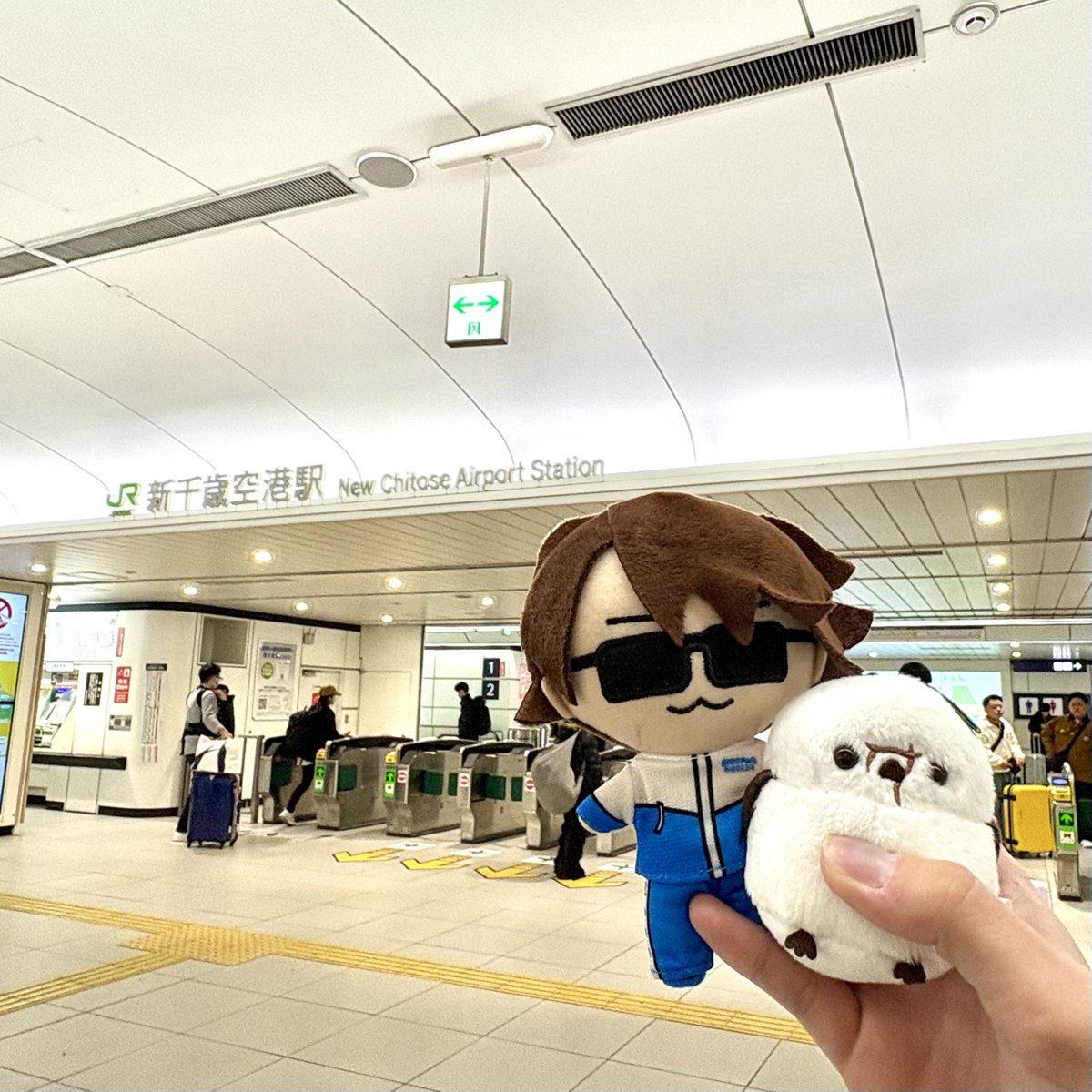 ｵｸﾆﾁｬﾝﾆﾌﾗﾚﾙｵﾁﾞ tweet media