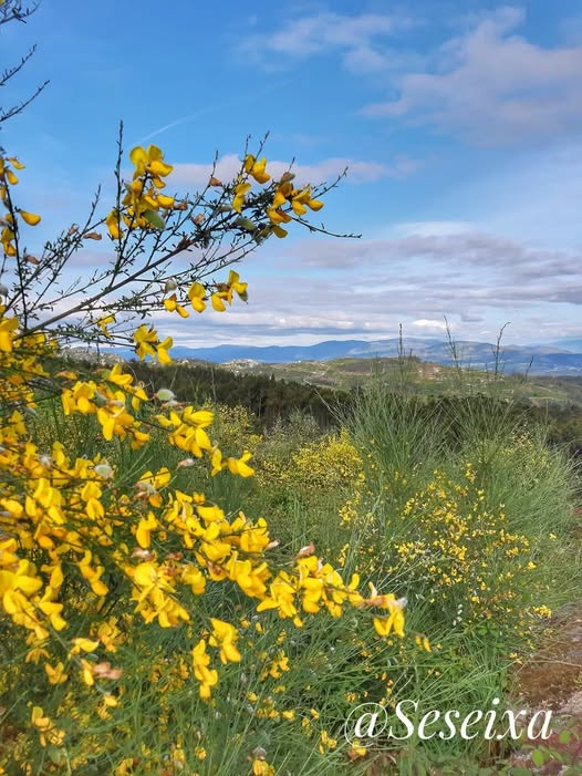 RandomAtom tweet media