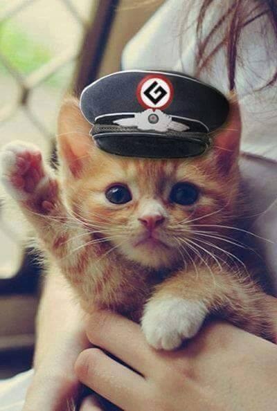 Jan Kattenberg tweet media