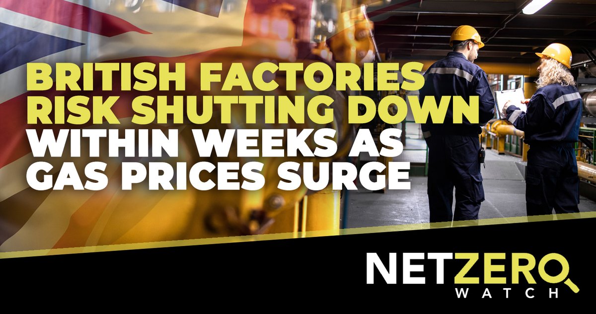 Net Zero Watch tweet media