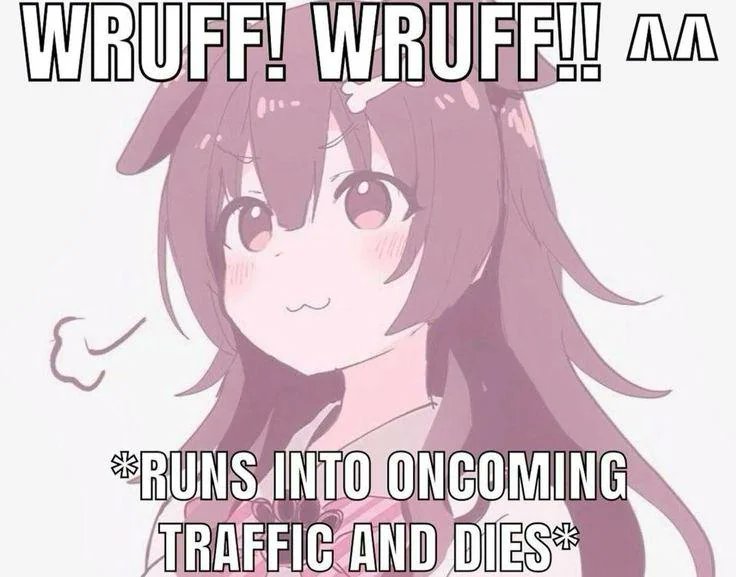 Gay Frog 🏳️‍⚧️ tweet media