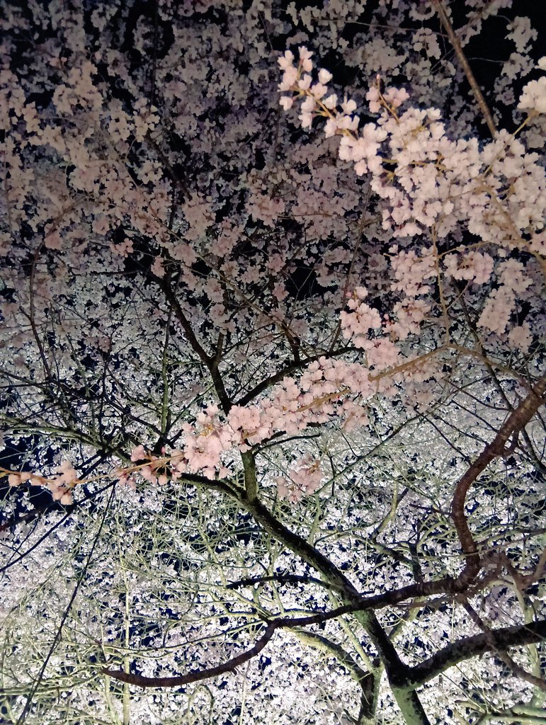 鬼ころし tweet media