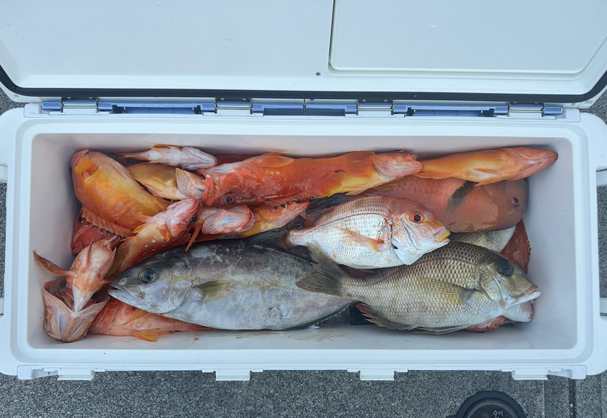 みつこ tweet media